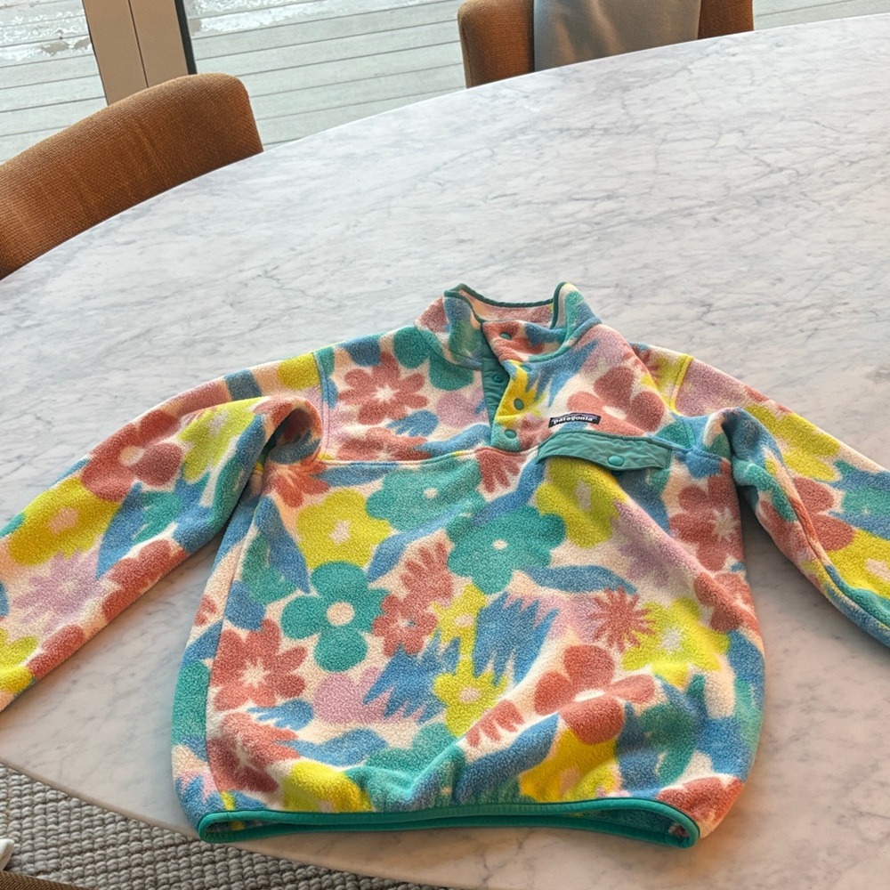 Patagonia Synchilla Multicolor Fleece
